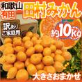 和歌山有田産 ”田村みかん” 訳あり はなまる等級 約10kg 大きさおまかせ【予約 11月末以降】 送料無料