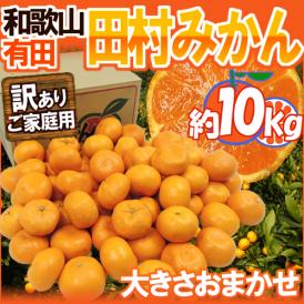 和歌山有田産 ”田村みかん” 訳あり はなまる等級 約10kg 大きさおまかせ【予約 11月末以降】 送料無料