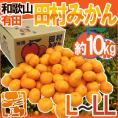 和歌山有田産 ”田村みかん” 秀品 L～LL 約10kg 産地箱【予約 11月末以降】 送料無料