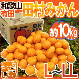 和歌山有田産 ”田村みかん” 秀品 L～LL 約10kg 産地箱【予約 11月末以降】 送料無料