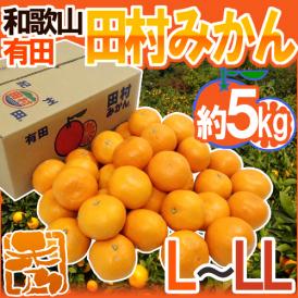 和歌山有田産 ”田村みかん” 秀品 L～LL 約5kg 産地箱【予約 11月末以降】 送料無料