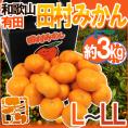 和歌山有田産 ”田村みかん” 秀品 L～LL 約3kg 化粧箱【予約 11月末以降】 送料無料