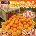 和歌山有田産 ”田村みかん” 秀品 S～M 約10kg 産地箱【予約 11月末以降】 送料無料