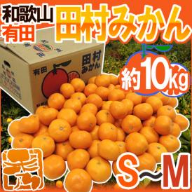 和歌山有田産 ”田村みかん” 秀品 S～M 約10kg 産地箱【予約 11月末以降】 送料無料
