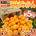 和歌山有田産 ”田村みかん” 秀品 S～M 約5kg 産地箱【予約 11月末以降】 送料無料