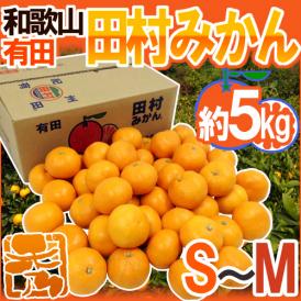 和歌山有田産 ”田村みかん” 秀品 S～M 約5kg 産地箱【予約 11月末以降】 送料無料