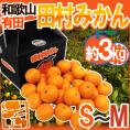 和歌山有田産 ”田村みかん” 秀品 S～M 約3kg 化粧箱【予約 11月末以降】 送料無料