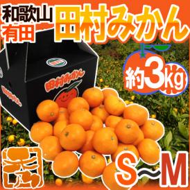 和歌山有田産 ”田村みかん” 秀品 S～M 約3kg 化粧箱【予約 11月末以降】 送料無料