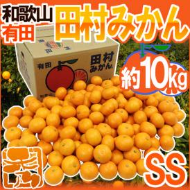 和歌山有田産 ”田村みかん” 秀品 SS 約10kg 産地箱【予約 11月末以降】 送料無料