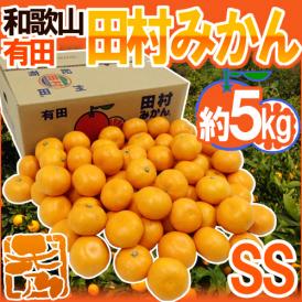 和歌山有田産 ”田村みかん” 秀品 SS 約5kg 産地箱【予約 11月末以降】 送料無料