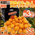 和歌山有田産 ”田村みかん” 秀品 SS 約3kg 化粧箱【予約 11月末以降】 送料無料