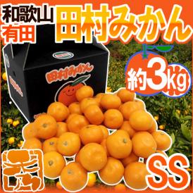 和歌山有田産 ”田村みかん” 秀品 SS 約3kg 化粧箱【予約 11月末以降】 送料無料