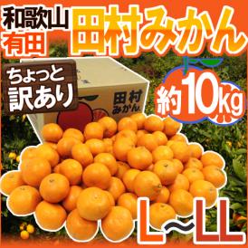 和歌山有田産 ”田村みかん” ちょっと訳あり L～LL 約10kg 産地箱【予約 11月末以降】 送料無料