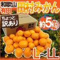 和歌山有田産 ”田村みかん” ちょっと訳あり L～LL 約5kg 産地箱【予約 11月末以降】 送料無料