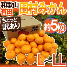 和歌山有田産 ”田村みかん” ちょっと訳あり L～LL 約5kg 産地箱【予約 11月末以降】 送料無料