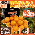 和歌山有田産 ”田村みかん” ちょっと訳あり L～LL 約3kg 化粧箱【予約 11月末以降】 送料無料