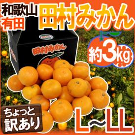和歌山有田産 ”田村みかん” ちょっと訳あり L～LL 約3kg 化粧箱【予約 11月末以降】 送料無料