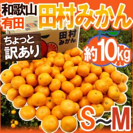 和歌山有田産 ”田村みかん” ちょっと訳あり S～M 約10kg 産地箱【予約 11月末以降】 送料無料