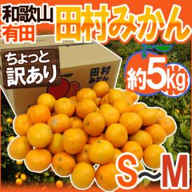 和歌山有田産 ”田村みかん” ちょっと訳あり S～M 約5kg 産地箱【予約 11月末以降】 送料無料