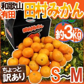 和歌山有田産 ”田村みかん” ちょっと訳あり S～M 約3kg 化粧箱【予約 11月末以降】 送料無料