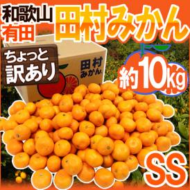 和歌山有田産 ”田村みかん” ちょっと訳あり SS 約10kg 産地箱【予約 11月末以降】 送料無料