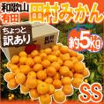 和歌山有田産 ”田村みかん” ちょっと訳あり SS 約5kg 産地箱【予約 11月末以降】 送料無料
