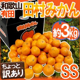 和歌山有田産 ”田村みかん” ちょっと訳あり SS 約3kg 化粧箱【予約 11月末以降】 送料無料