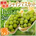 ”シャインマスカット” 秀品 2房 約1kg以上 産地厳選【予約 8月下旬以降】