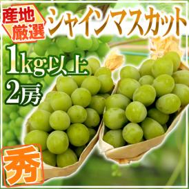 ”シャインマスカット” 秀品 2房 約1kg以上 産地厳選【予約 8月下旬以降】