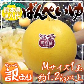 熊本県八代特産 ”晩白柚” ばんぺいゆ ちょっと訳あり Mサイズ 1玉 約1.2kg前後【予約 12月以降】