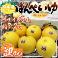 熊本県八代特産 ”晩白柚” ばんぺいゆ ちょっと訳あり Mサイズ 6玉 約7.2kg 化粧箱【予約 12月以降】 送料無料