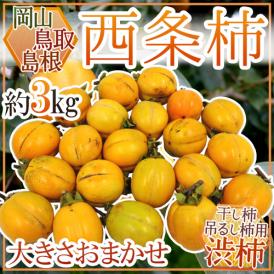 島根・鳥取・岡山産 干し柿・吊るし柿用 ”西条柿 渋柿” 約3kg 大きさおまかせ【予約 10月下旬以降】 送料無料
