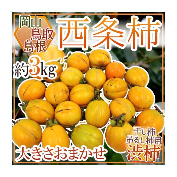 俺旅　DVD 平野良　玉城裕規　直筆サイン 俺旅 DVD 平野良 玉城裕規 直筆サイン