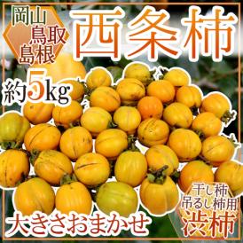 島根・鳥取・岡山産 干し柿・吊るし柿用 ”西条柿 渋柿” 約5kg 大きさおまかせ【予約 10月下旬以降】 送料無料