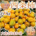 島根・鳥取・岡山産 干し柿・吊るし柿用 ”西条柿 渋柿” 約6kg 大きさおまかせ【予約 10月下旬以降】 送料無料