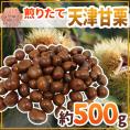 ”天津甘栗” 約500g×1pc こだわり産地限定！採れたて新栗♪焼きたて・炒りたてを詰めました！【予約 10月中旬以降】