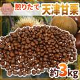 ”天津甘栗” 約3kg（約500g×6pc） こだわり産地限定！採れたて新栗♪焼きたて・炒りたてを詰めました！【予約 10月中旬以降】 送料無料