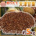 ”天津甘栗” 約5kg（約500g×10pc） こだわり産地限定！採れたて新栗♪焼きたて・炒りたてを詰めました！【予約 10月中旬以降】 送料無料