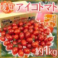 愛知県産 ”アイコトマト” 秀品 約1kg【予約 入荷次第発送】
