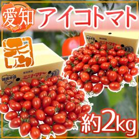 愛知県産 ”アイコトマト” 秀品 約2kg【予約 入荷次第発送】 送料無料