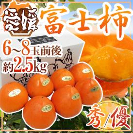 ”愛媛県八幡浜産 富士柿” 秀/優品 2L～4L 6～8玉前後 約2.5kg【予約 11月以降】 送料無料