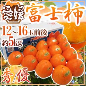 愛媛県八幡浜産 ”富士柿” 秀/優品 2L～4L 12～16玉前後 約5kg【予約 11月以降】 送料無料