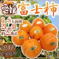 ”愛媛県八幡浜産 富士柿” 訳あり 2L～4L 6～8玉前後 約2.5kg【予約 11月以降】 送料無料