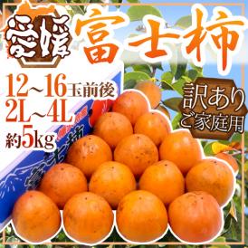 愛媛県八幡浜産 ”富士柿” 訳あり 2L～4L 12～16玉前後 約5kg【予約 11月以降】 送料無料