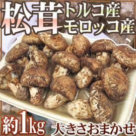 トルコ・モロッコ産 ”松茸” 約1kg 大きさおまかせ【予約 11月以降】 送料無料