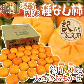 和歌山産 ”こだわりの焼酎脱渋 たねなし柿” 訳あり 約7.5kg 大きさおまかせ【予約 10月以降】 送料無料