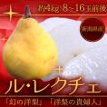 新潟産 ”ル・レクチェ” 良品 8～16玉前後 約4kg 洋梨 訳あり ご家庭用【予約 12月以降】 送料無料