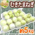 真空パック ”剥きたまねぎ” 約5kg 大きさおまかせ