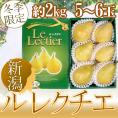 新潟産 ”ル レクチェ” 秀品 5～6玉 約2kg 化粧箱 洋梨【予約 12月以降】 送料無料