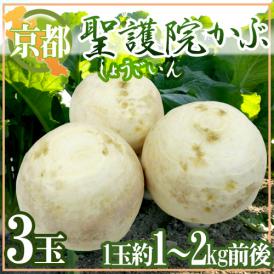 緻密で甘く、柔らかい！！ブランド蕪♪